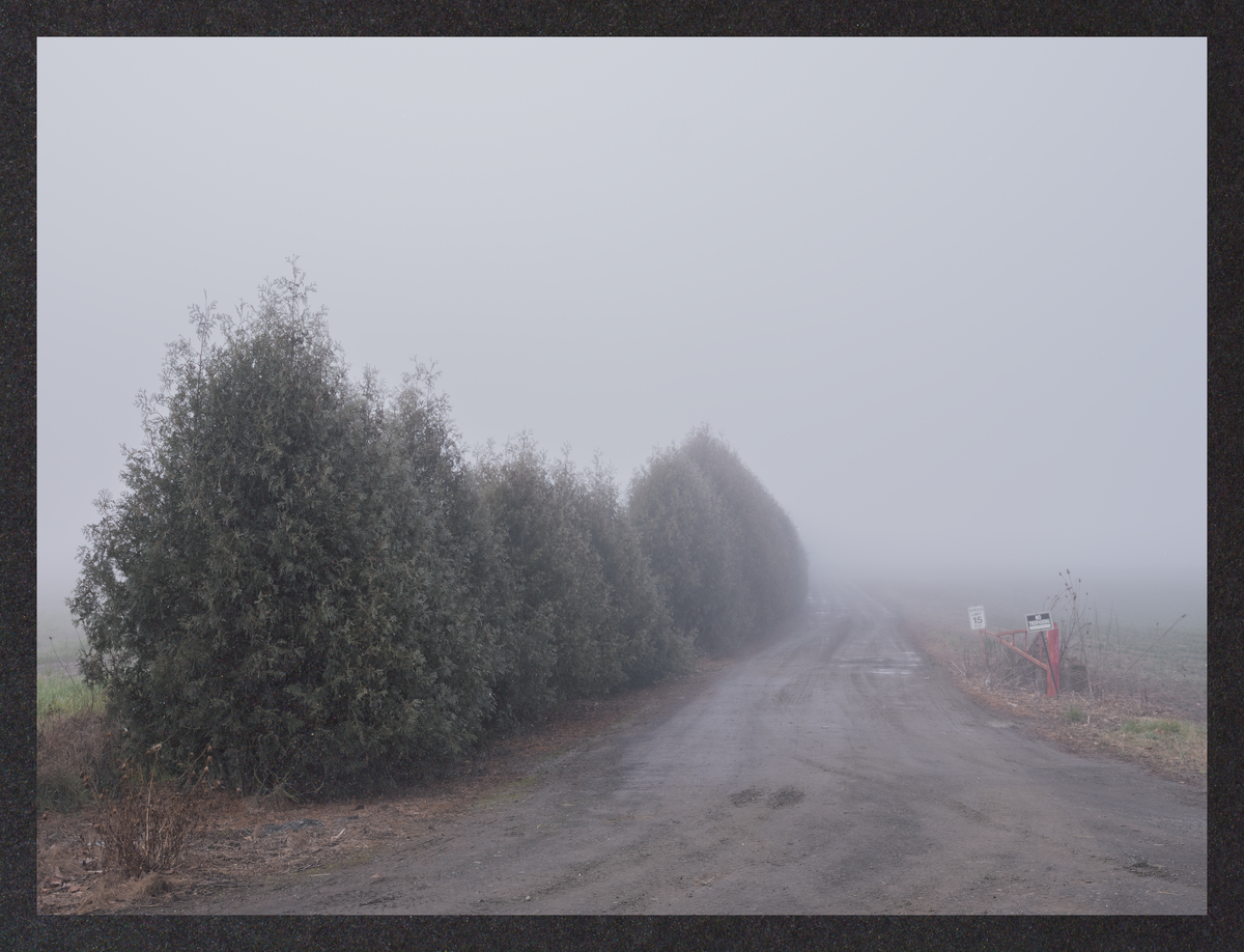 cold-dreaming/DSCF2092-Mockup