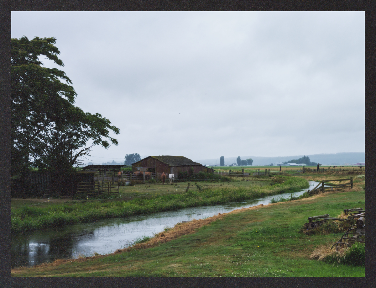 cold-dreaming/DSCF9230-Mockup