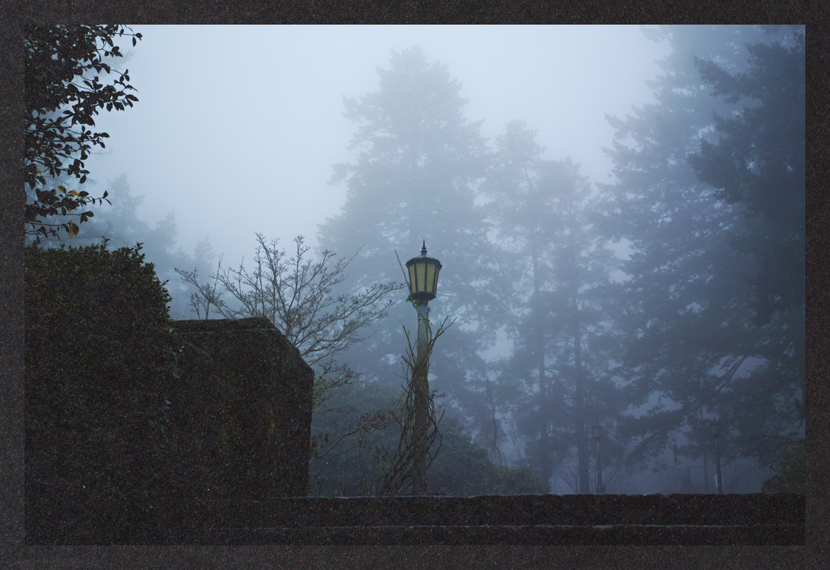 cold-dreaming/SDIM8426-Mockup