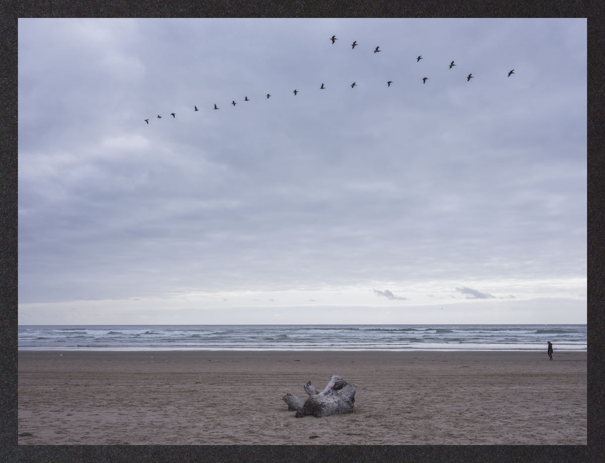 the-gray-margin/DSCF9140-Mockup