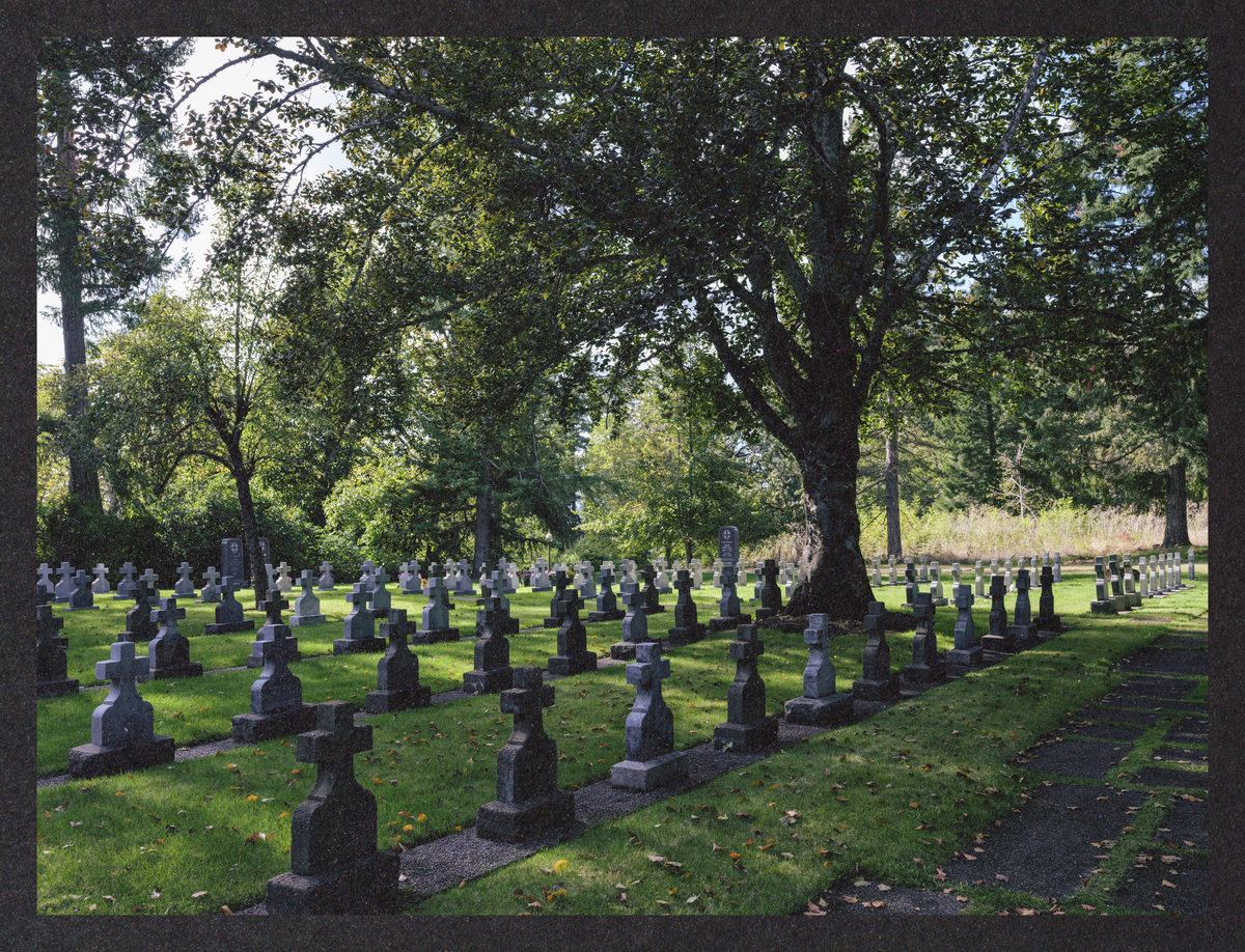 what-lies-in-ruin/DSCF1091-Mockup