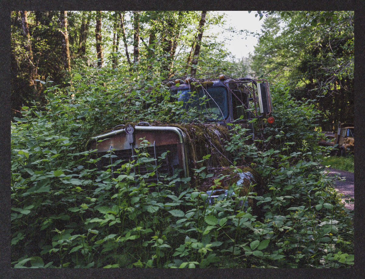 what-lies-in-ruin/DSCF9018-Mockup