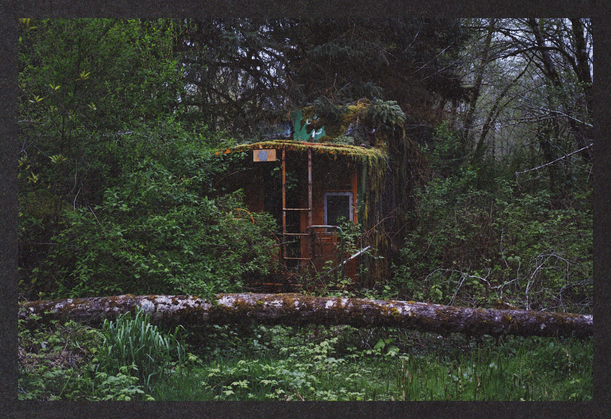 what-lies-in-ruin/SDIM5350-Mockup